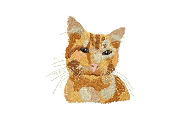 Cute Ginger Cat