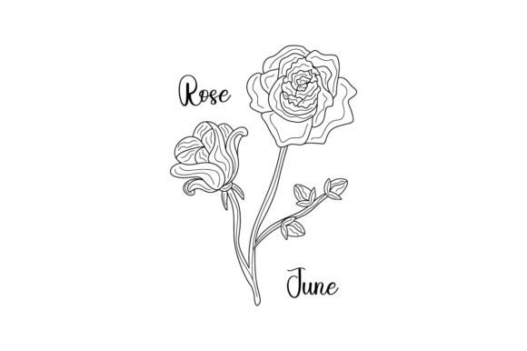 June Rose Line Art Embroidery