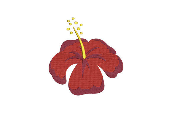 Red Hibiscus Flower